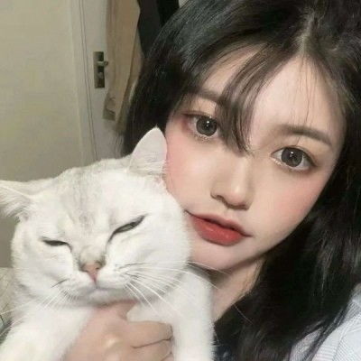 三国群英传单机